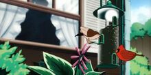 V�deo Vivarium