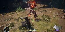 V�deo Beast of Reincarnation