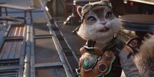V�deo Zoopunk