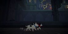 V�deo Haunted Paws 