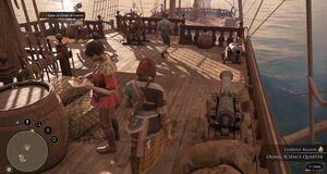 Vídeo Características