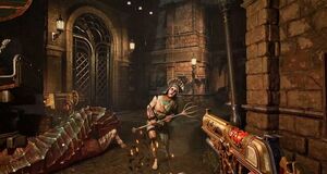 V�deo Fecha de lanzamiento