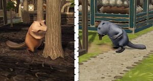 Vídeo Lanzamiento 1.0