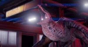 Vídeo Rebirth Expansion