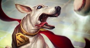 Vídeo Krypto