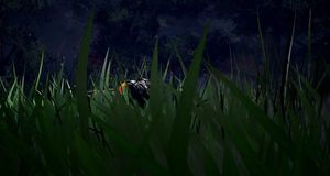 V�deo Fecha de lanzamiento