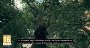 Vídeo Evolución