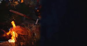 Vídeo Debut