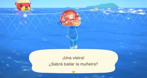 Vídeo Actualización de verano